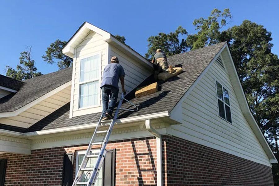 roof replacement and repairs services